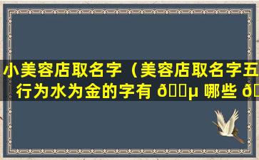 小美容店取名字（美容店取名字五行为水为金的字有 🐵 哪些 🌵 ）